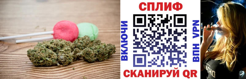 наркошоп  Каргат  Canna-Cookies конопля 