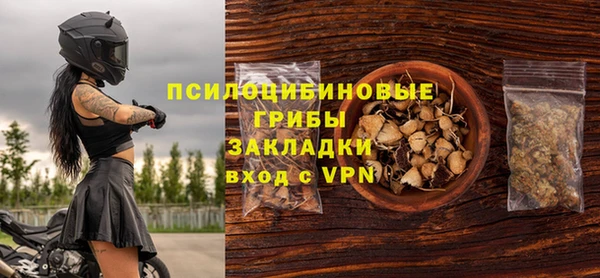 молекула духа Надым