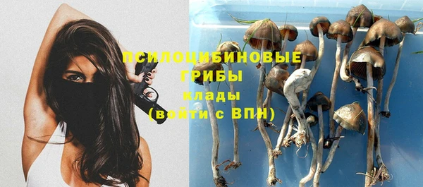 тгк Нефтекумск