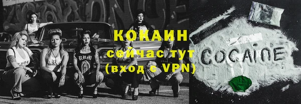 молекула духа Надым